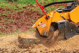 Best Weed Control  in Piney Point Village, TX